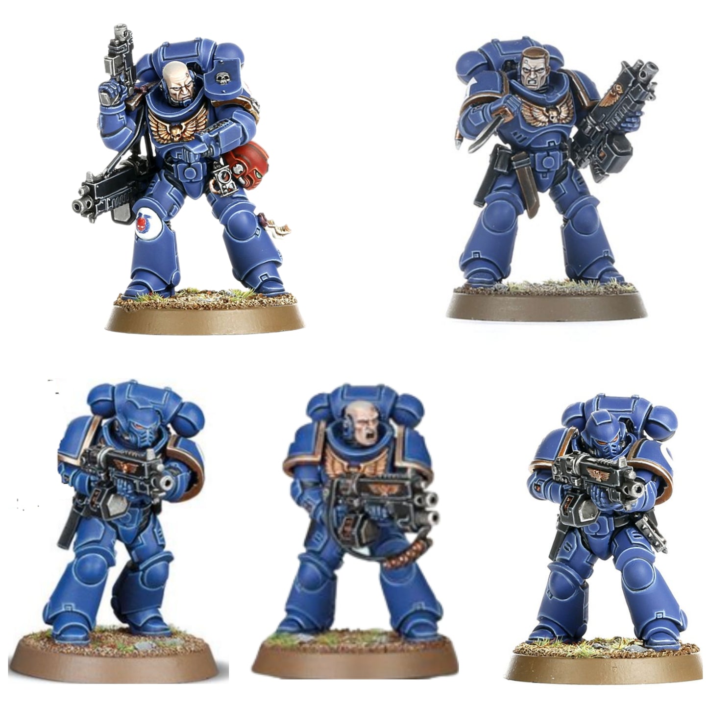Space Marine 5 Intercessoren & 5 Sturm Intercessoren
