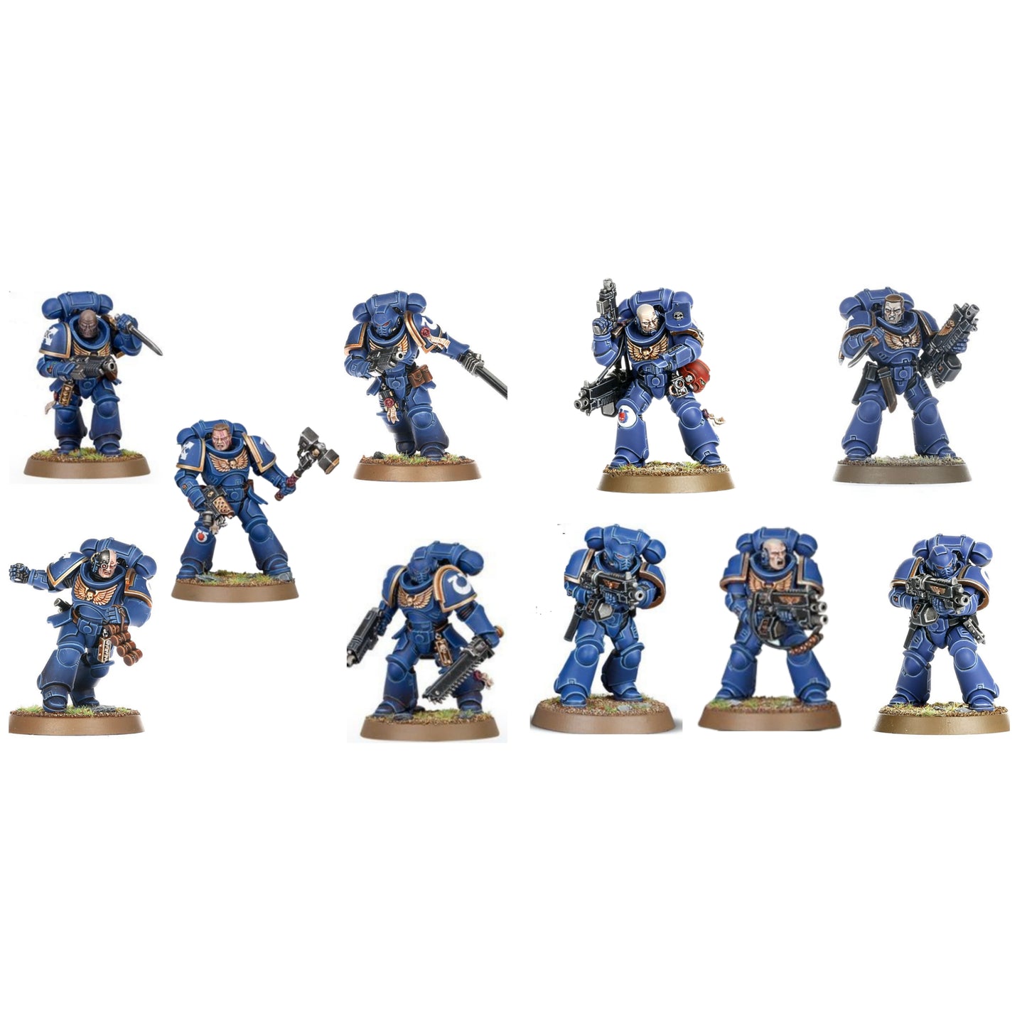 Space Marine 5 Intercessoren & 5 Sturm Intercessoren