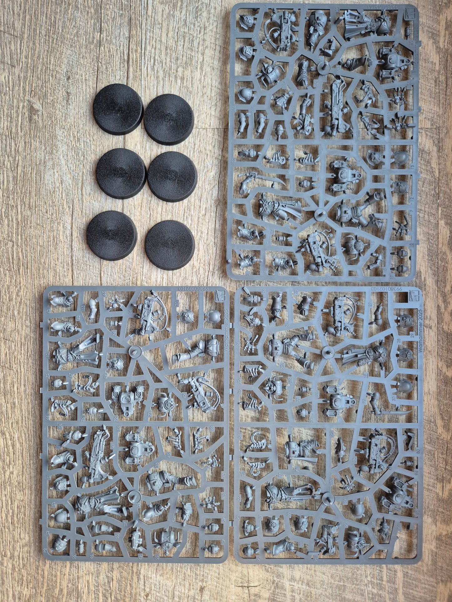 Emperor´s Children Noise Marines Gussrahmen