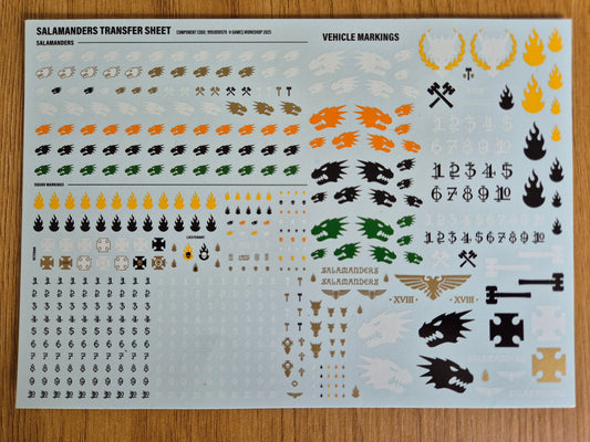 Salamanders Transfer Sheet