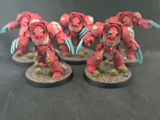Sturm Terminatoren – Blood Angels gebaut & bemalt