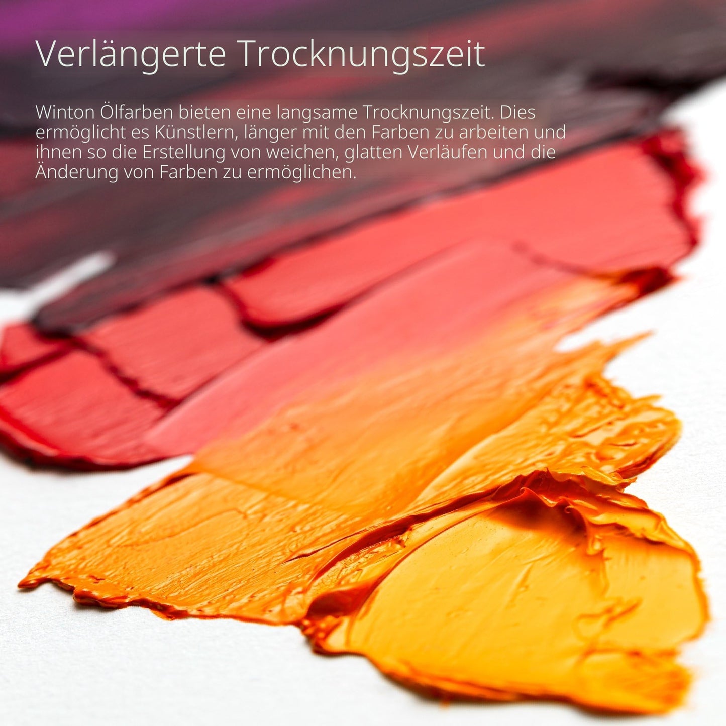 Winsor & Newton 1437048 Winton, feine hochwertige Ölfarbe - 200ml Tube mit gleichmäßiger Konsistenz, lichtbeständig, hohe Deckkraft, reich an Farbpigmenten - Phthalo Dunkelgrün