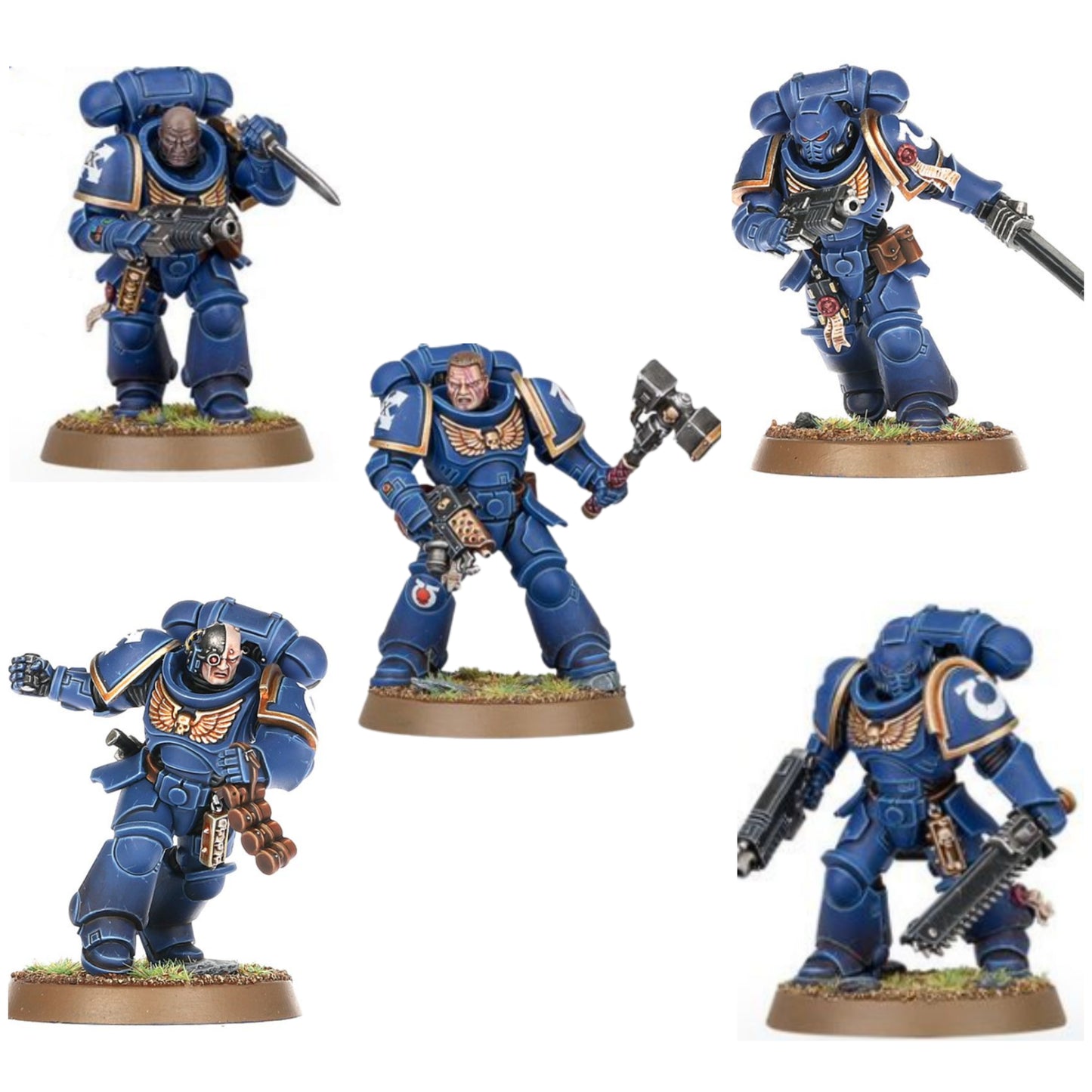 Space Marine 5 Intercessoren & 5 Sturm Intercessoren