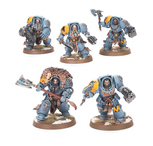 Space Wolves Wolfsgarde Terminatoren Einzelgussrahmen