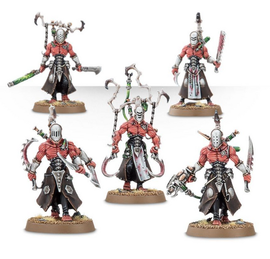 Drukhari Folterer Einzelgussrahmen